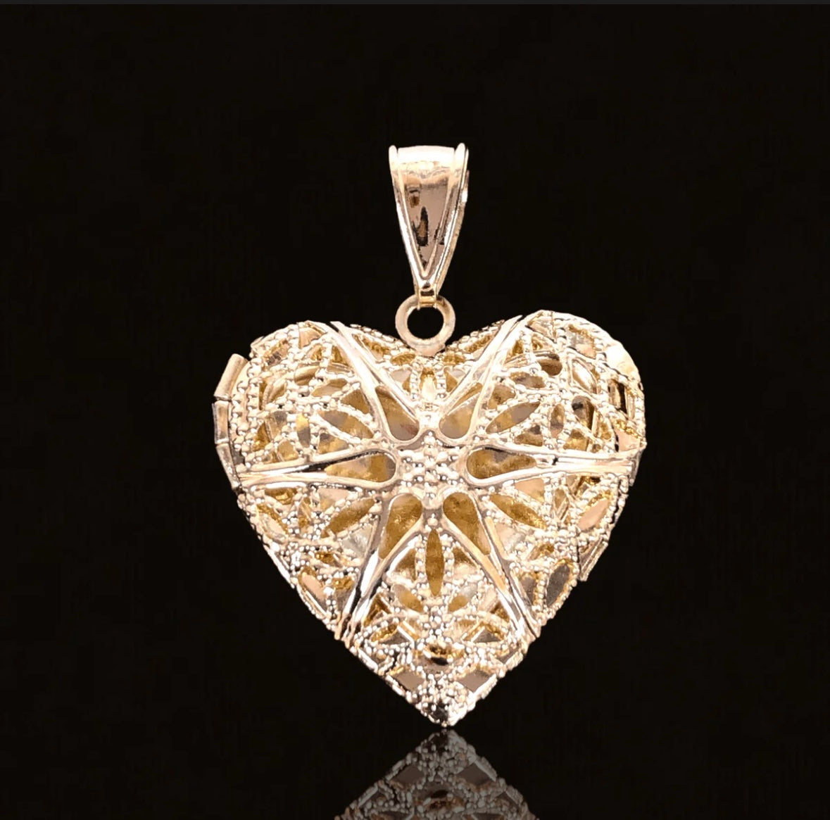 18K GOLD HEART LOCKET + PVD ROPE CHAIN 💦✨